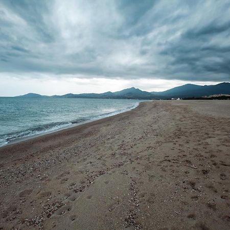 Appartement T2 Les Pieds Dans L'Eau A Argelès-sur-Mer Zewnętrze zdjęcie