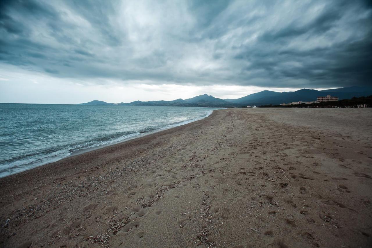 Appartement T2 Les Pieds Dans L'Eau A Argelès-sur-Mer Zewnętrze zdjęcie