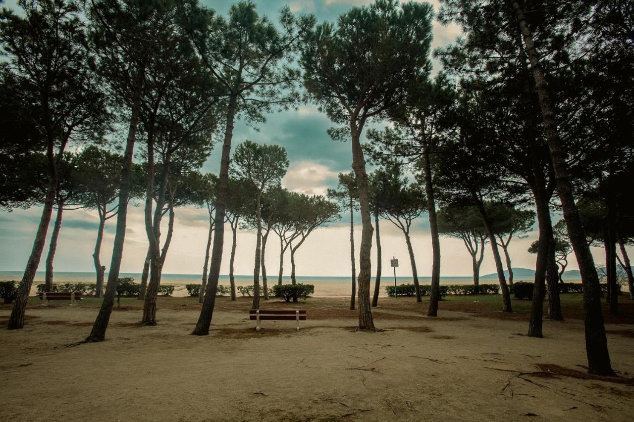 Appartement T2 Les Pieds Dans L'Eau A Argelès-sur-Mer Zewnętrze zdjęcie