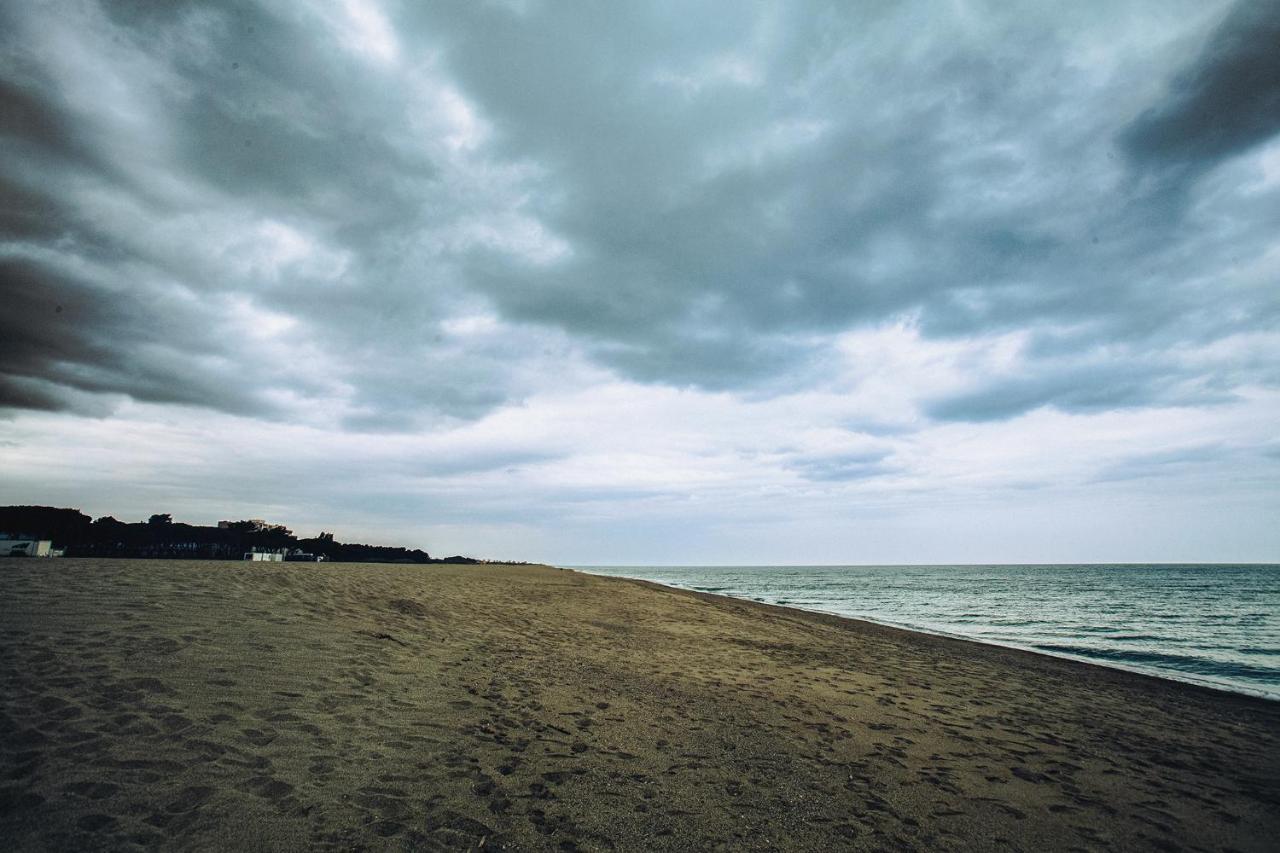 Appartement T2 Les Pieds Dans L'Eau A Argelès-sur-Mer Zewnętrze zdjęcie